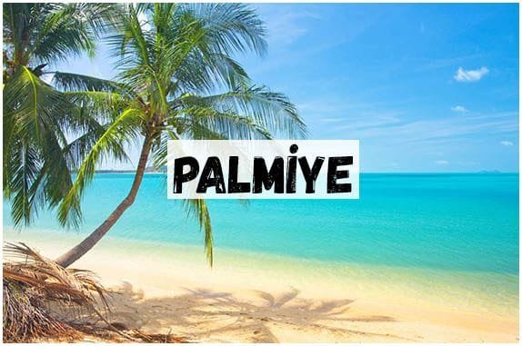 PALMİYE